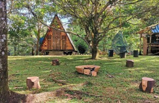 Isla Del Antoño - Foto 1