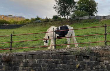 Ebor Mill's Cottage - Foto 17