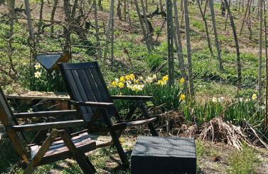 NiFe Tiny House - Secret Garden - Photo 47