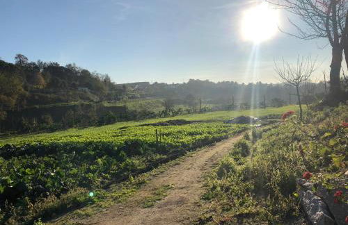 Quinta do Ovelheiro - Foto 33