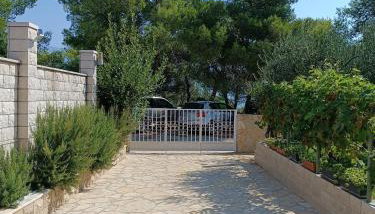 Anći - Photo 3, Garden, Garden view