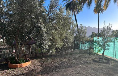 La casa de Tea - Foto 16