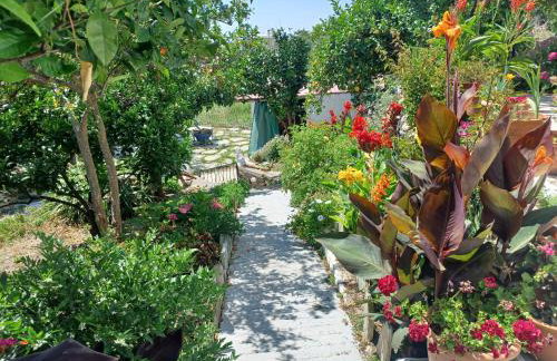 Vlami's House Andros - Foto 7