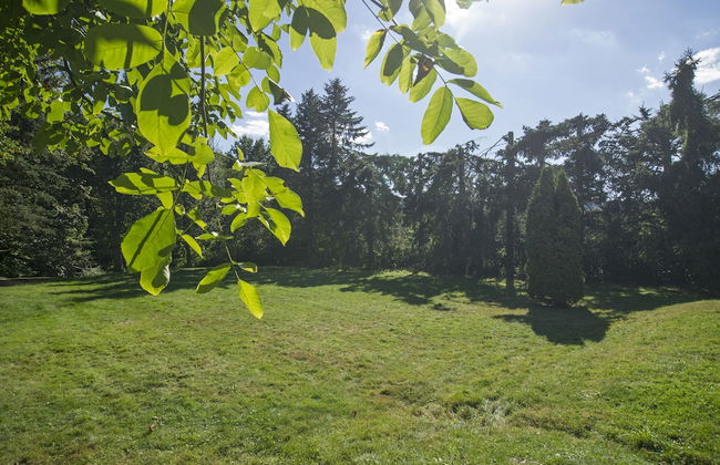 Ferienhaus Faltmann - Foto 55