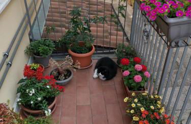 Dimora Visconti - Foto 64