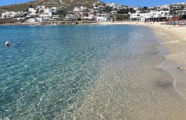 COZY CYCLADIC HOME , close to Ornos beach - Photo 31