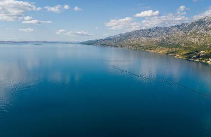 House Villa Ivona - Foto 96