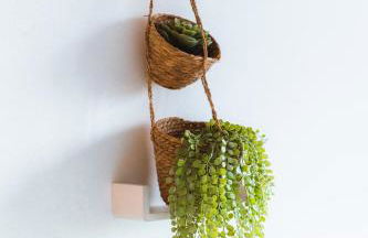 Marina d'Or IV, casa 5 - Foto 28