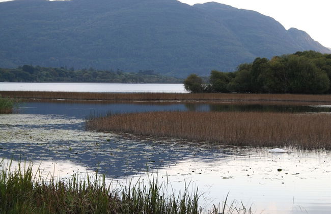 Innisfallen Holiday Village - Foto 11