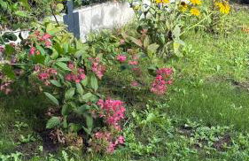 2 Tyskie Apartamenty z prywatnym ogródkiem - Foto 2