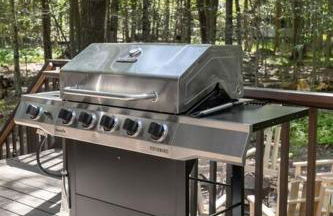 Rustic Luxury in the Pocono Mountains - Stag Lodge - Foto 36