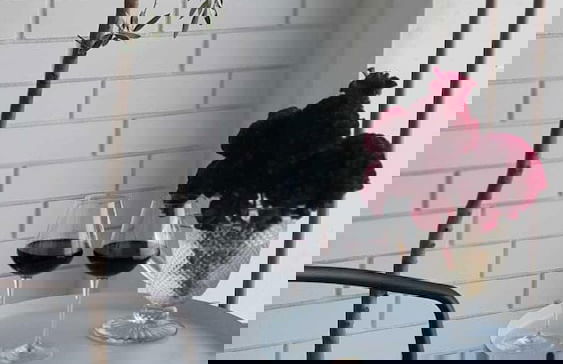 CM Antas Studios - Foto 37