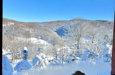 Pod Srebrzystym Świerkiem - Jacuzzi - Foto 7