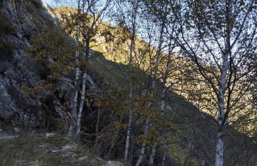 Quirós Villa Tranquila de Salcedo 1 - Foto 19