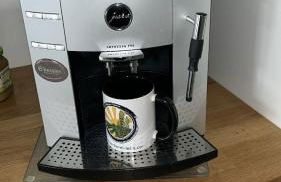 Casa Viva - Separate, ruhig gelegene Wohnung - Foto 11