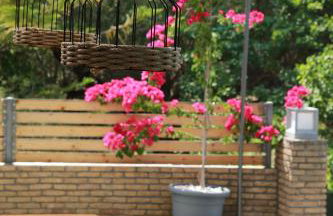 STATHI'S COTTAGE - Foto 32