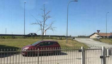 Relax vicino a Mirabilandia con parcheggio - Photo 1, Garden, Garden view