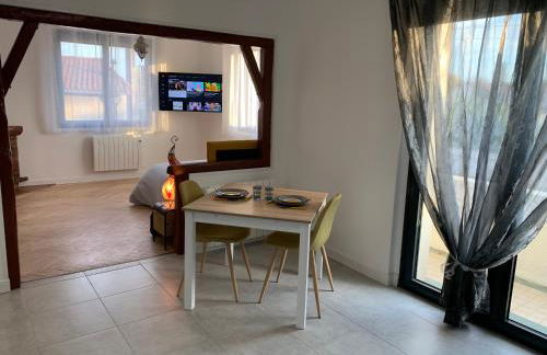 Room in Toulouse - T2 Toulouse Saint Martin du Touch - Foto 12