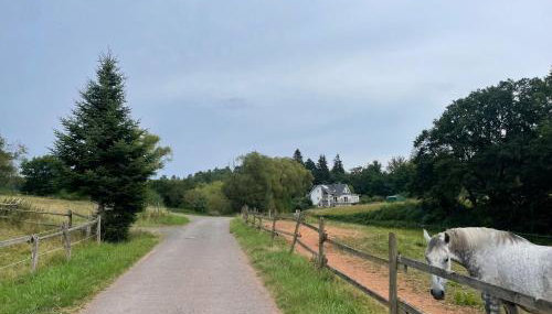 Ferienwohnung Waldesrand - Foto 4