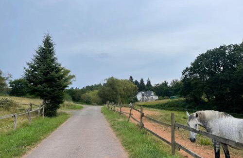 Ferienwohnung Waldesrand - Foto 4