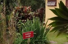 JARDIM REAL - Chalés para casais - Foto 11