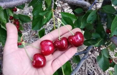 Casa Rural Mirador del Valle - Foto 43