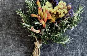 M Butterfly - Foto 16