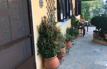 Mitsani Country House - Foto 9