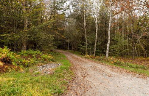 Private Chalet with Fire Pit Deck and Large Yard - Foto 45