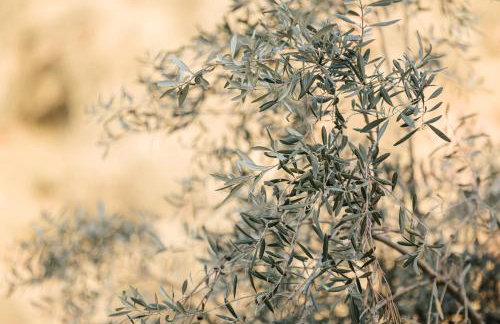 PELIONBLUE VILLAs - Foto 42