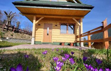 Pieśń Poranka Domek - Foto 42