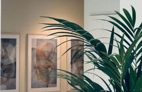 Balcon de Europa Suite - Foto 17