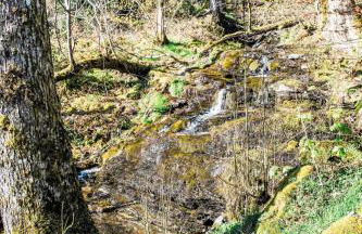 Holiday Home Farmburn by Interhome - Photo 38