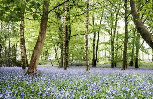 4 Bed in Carnforth oc-54457 - Foto 38