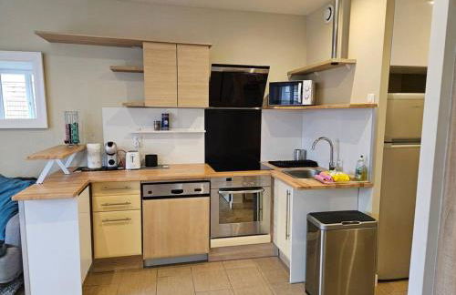 Le 301 Vercingétorix - Proche Paris & Disney - Foto 12