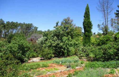 Charming Garden Retreat in Pedrogao Grande - Foto 78