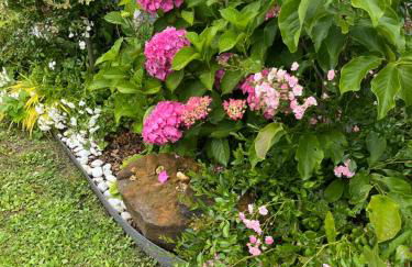 Le petit paradis - Foto 73