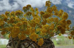 Apartment Morgensonne - Foto 17