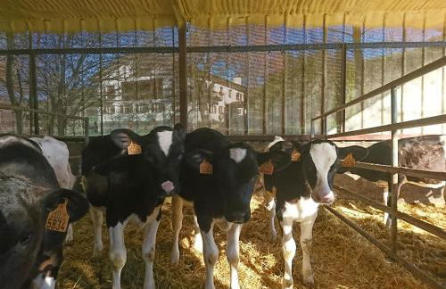 Zubeltzu Torre - Photo 32