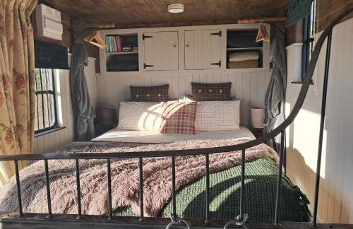 The Horsebox, unexpected luxury - Foto 6