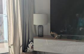 PINEA BALTIC - Double Sea View - Apartment z widokiem na morze - Photo 9