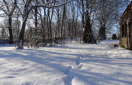 Ferienwohnung Nitschke Zum Nusshof - Foto 20