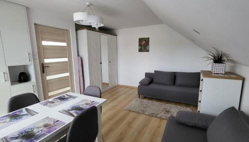 Domek pod Hyrką Bieszczady-Lesko - Foto 5