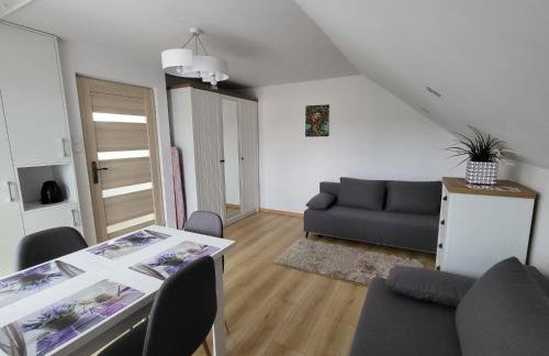 Domek pod Hyrką Bieszczady-Lesko - Foto 5