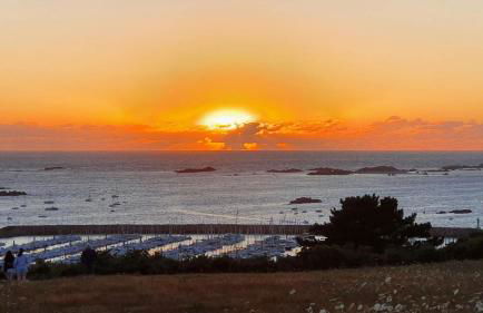 Les meloines - Foto 54