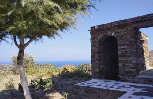 Andros Vineyard house with sea view - Foto 18