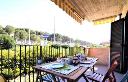 Ficus Plus - Pineto Vacanza - Foto 1