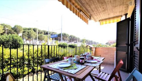 Ficus Plus - Pineto Vacanza - Foto 1, Garden view