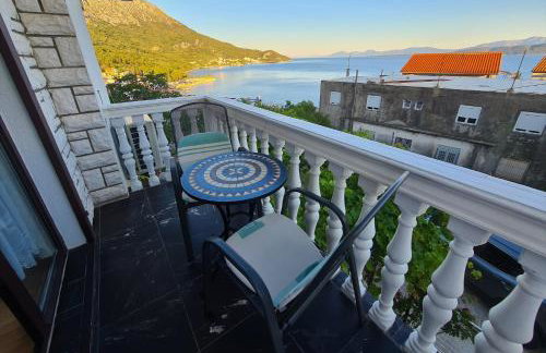 ĆOSIĆ APARTMANI IGRANE - Photo 25