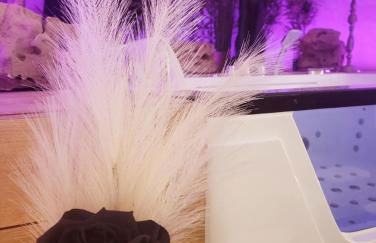 L'Atelier Des Roses, Lunéville centre - Foto 4